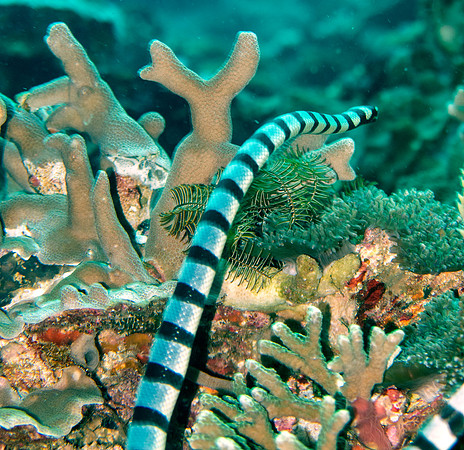 IMG_6322