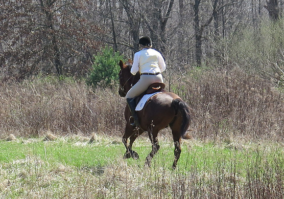 IMG_0776