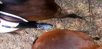 vlcsnap-2022-03-20-13h11m44s550 copy