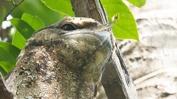 3Q2A1013 crop