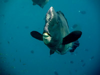 IMG_3500-1080