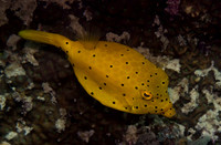 IMG_2347-1080
