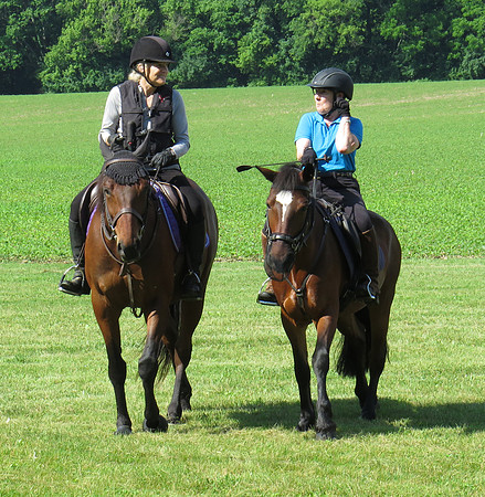 IMG_0263 copy
