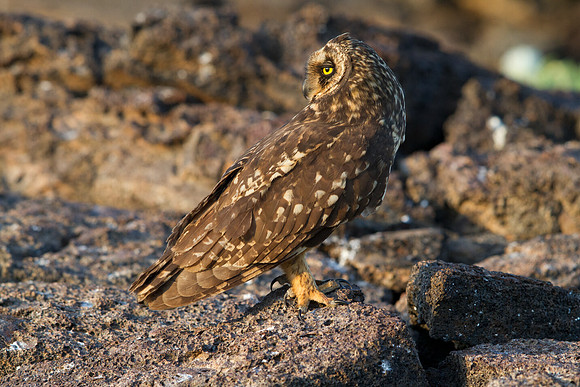 IMG_3333