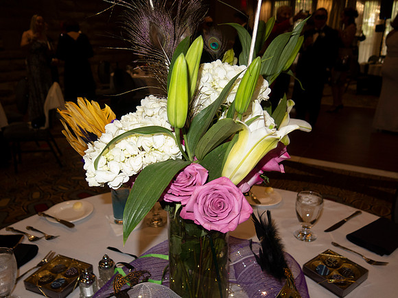 IMG_7147 copy