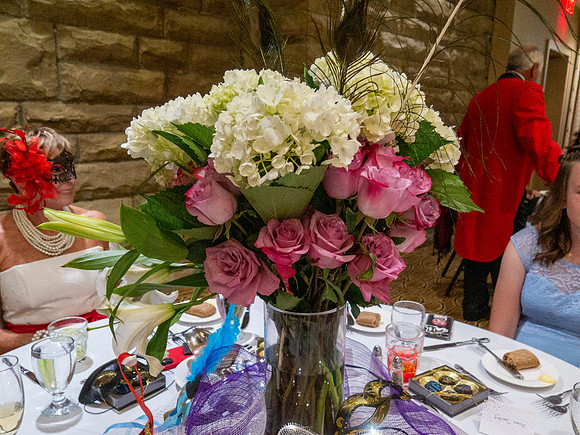 IMG_7179 copy