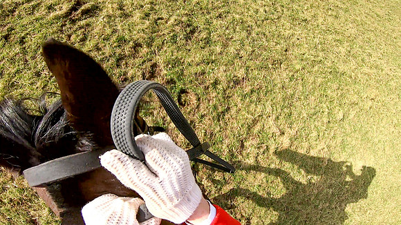 vlcsnap-2023-03-01-14h38m24s357 neck