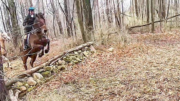 vlcsnap-2022-03-20-09h34m14s218 copy paige stone wall