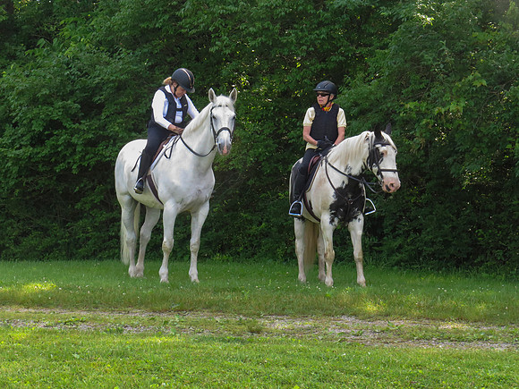 IMG_0252 copy
