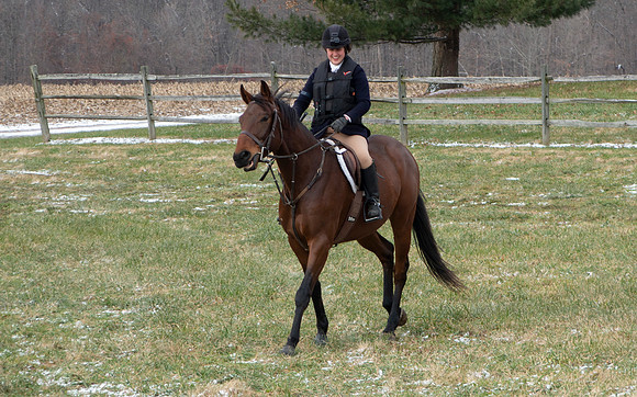 IMG_9882 copy