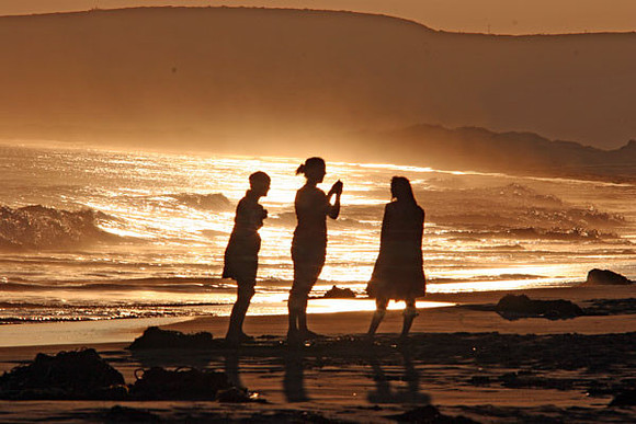 Biped Shore Walkers (Homo sapiens) female