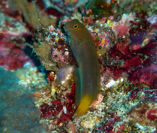 IMG_4633