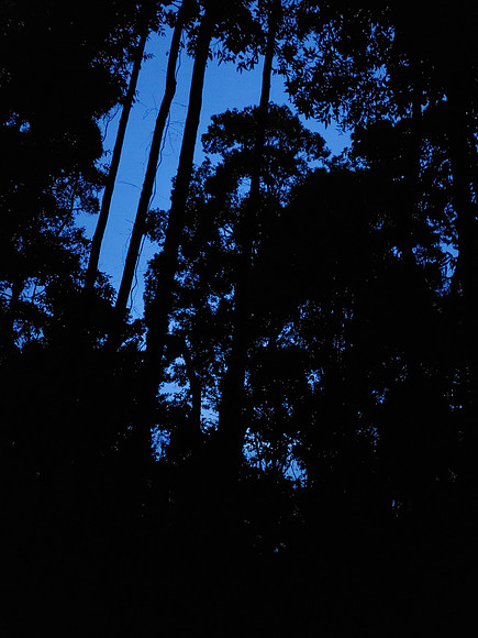 20230121_055955
