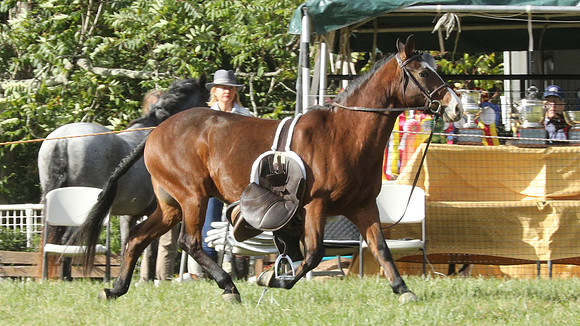 3Q2A6858a
