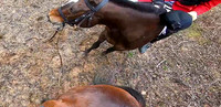 vlcsnap-2022-03-20-13h11m54s562 copy