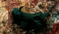 IMG_2579-1080