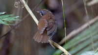 IMG_6171