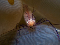 IMG_2366-1080