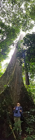 20160722_080508-1080