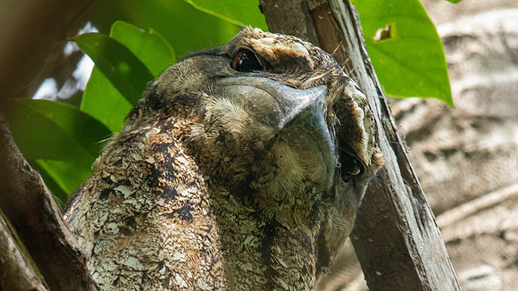 3Q2A1019 fb crop
