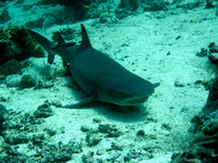 IMG_3319-1080