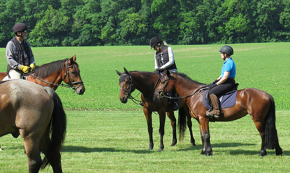 IMG_0260 copy