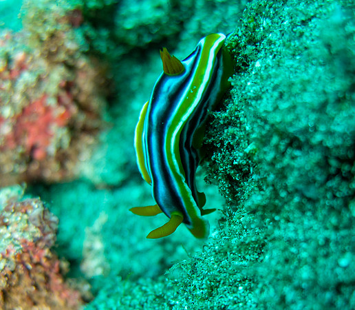 IMG_5749