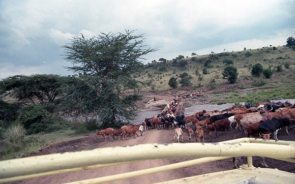 1988 Africa img399