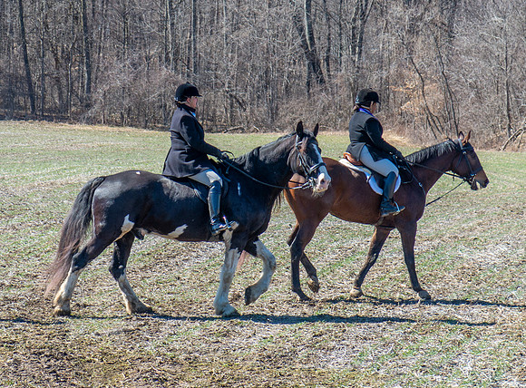 IMG_7369