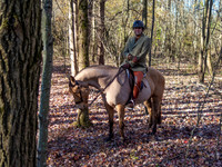 IMG_6364