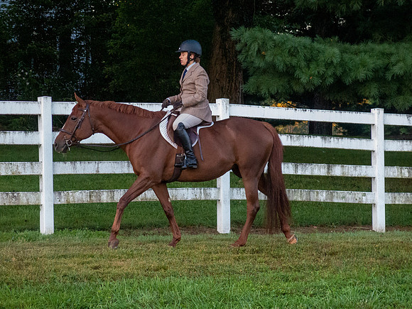 IMG_5966