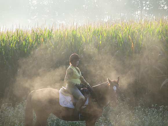 IMG_5775