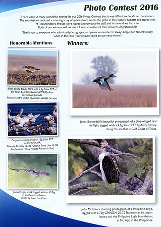 Microwave Telemetry, Inc. 2016 Annual Photo Contest Winner
