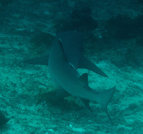 IMG_5383