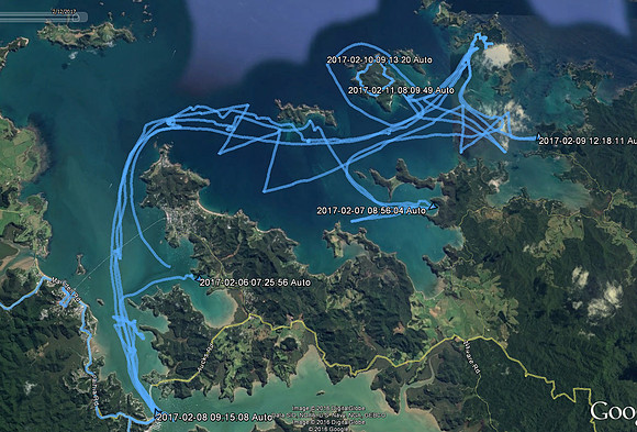 2-6 2-12 2017 Bay of Islands