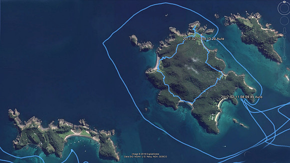 Bay of Islands Motuarohia Island 2-7-17