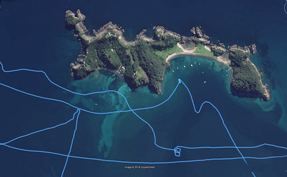 Bay of ISlands Roberton Island 2-7-17
