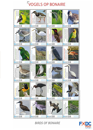 Bird Stamps for Bonaire Island