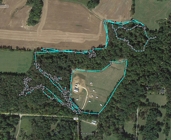 3-5-17 Trail Clearing