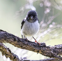 3Q2A7887