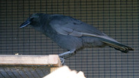 IMG_2320
