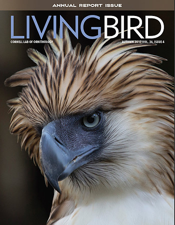 Living Bird - Annual Report 2017 Cover