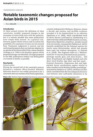 BirdingAsia article