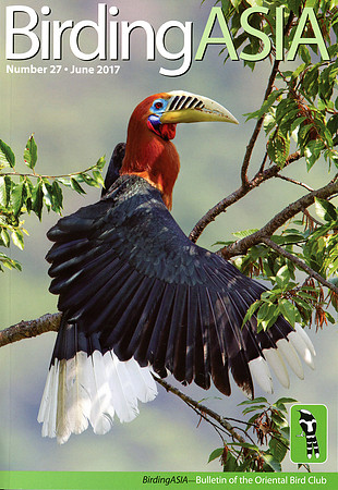 BirdingAsia front