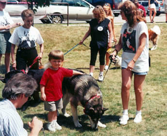 mvh-housedogshow