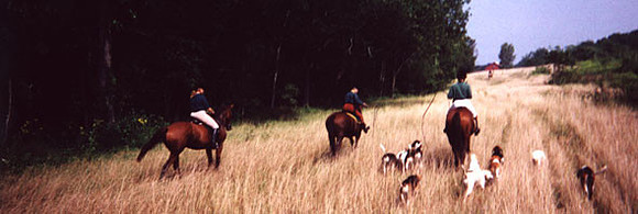 valleyroad