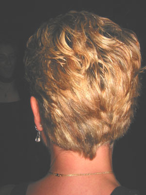 4-12-03pamshair