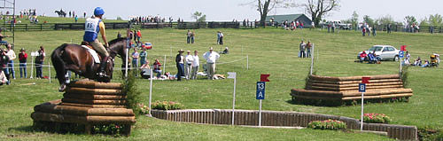 4-26-03rolexpano2