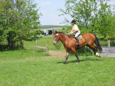 05-26-03_Diedre