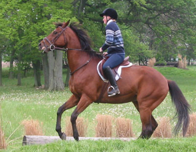 5-18-03kendra3